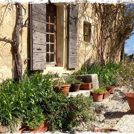 Le Petit Cafe Bed & Breakfast